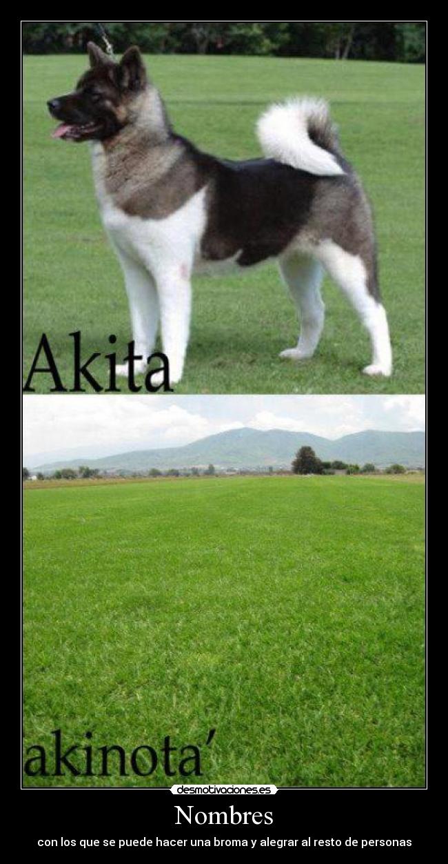 Nombres - con los que se puede hacer una broma y alegrar al resto de personas