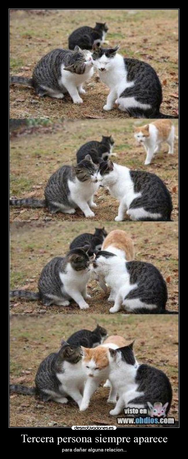 Tercera persona siempre aparece - para dañar alguna relacion...