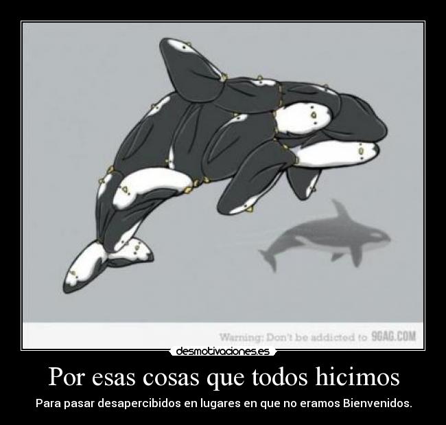 carteles joselucrrm desmotivaciones