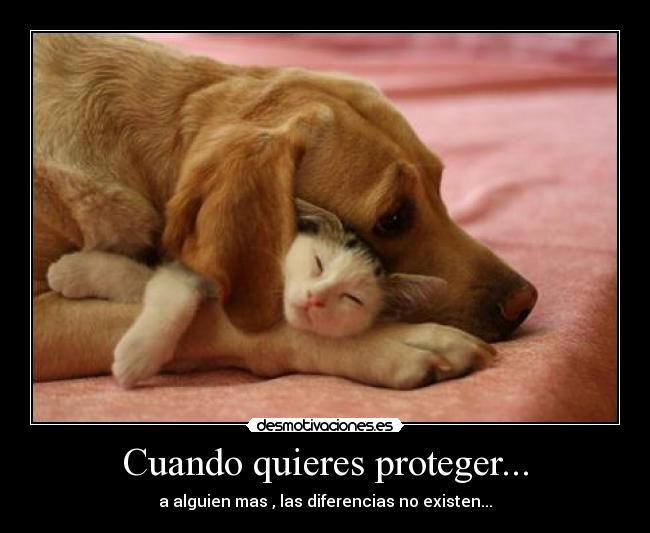 Cuando quieres proteger... -
