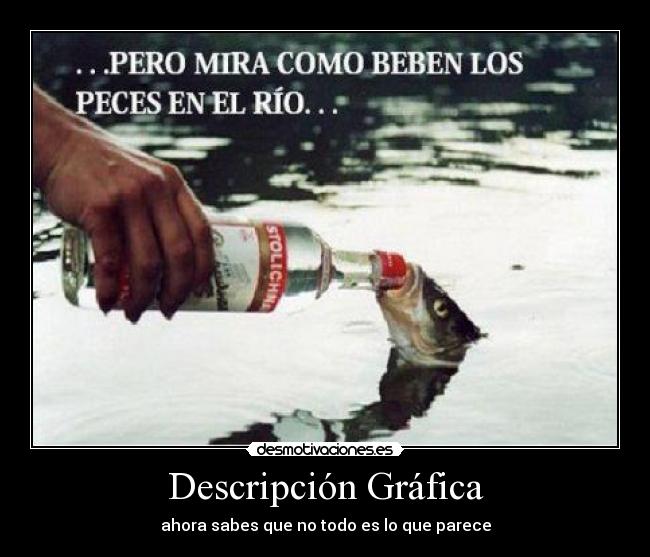 Descripción Gráfica - ahora sabes que no todo es lo que parece