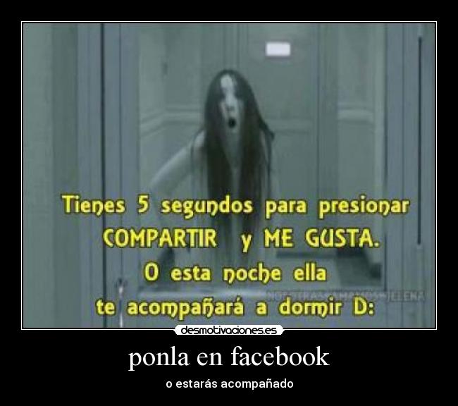 ponla en facebook - o estarás acompañado