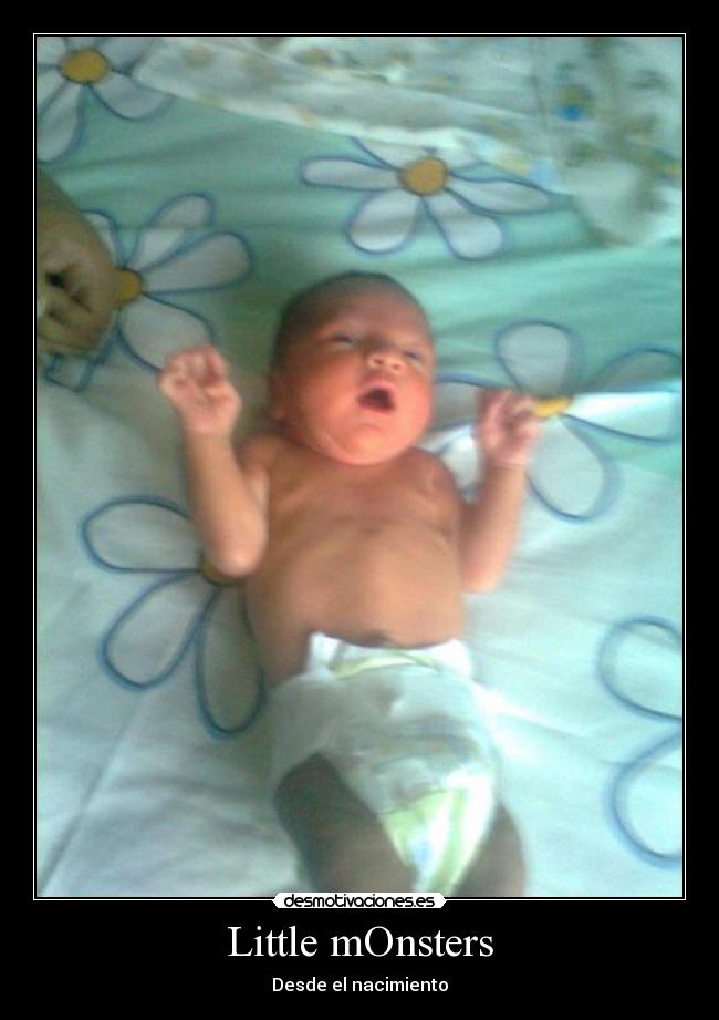 carteles lady8gaga desmotivaciones