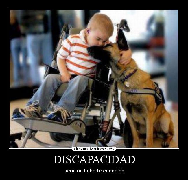 DISCAPACIDAD - seria no haberte conocido