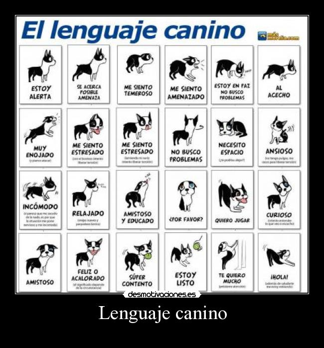 Lenguaje canino - 