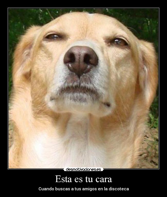 Esta es tu cara -
