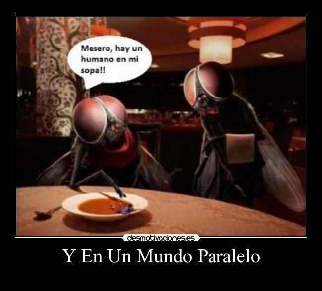 Y En Un Mundo Paralelo - 