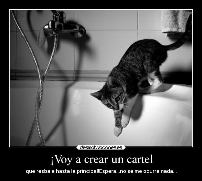 ¡Voy a crear un cartel -