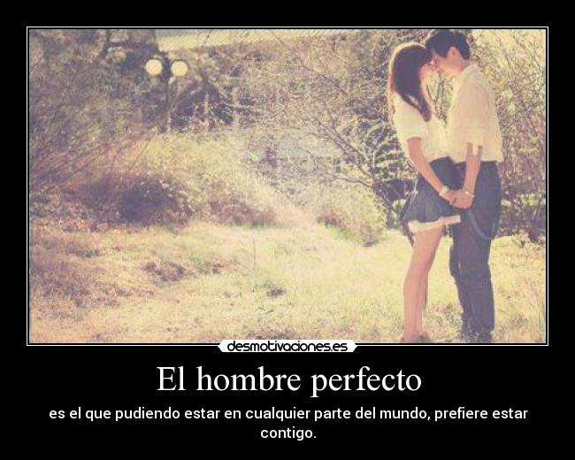 El hombre perfecto -