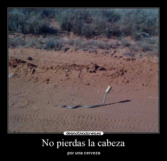 No pierdas la cabeza - por una cerveza