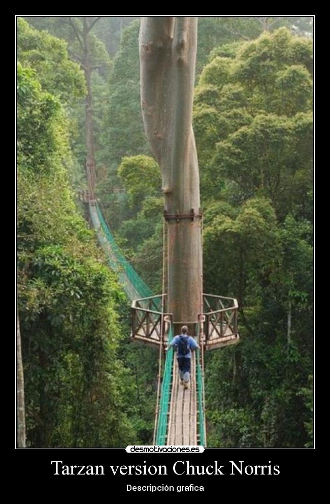 Tarzan version Chuck Norris - Descripción grafica