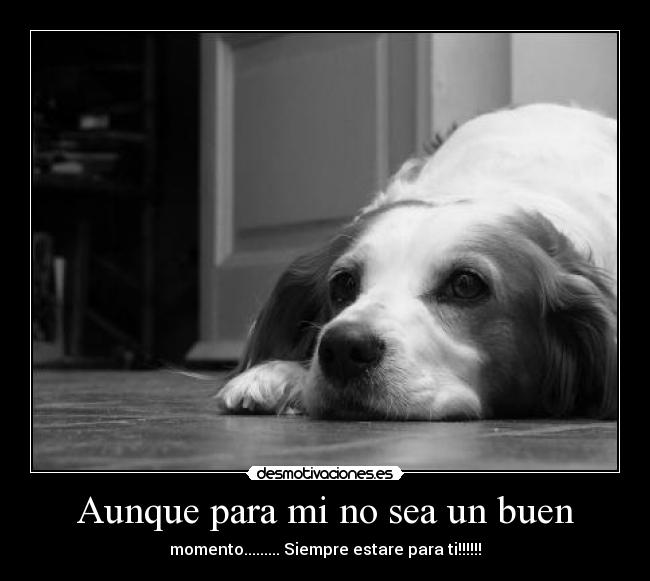 Aunque para mi no sea un buen -