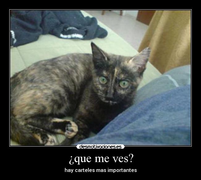 ¿que me ves? -