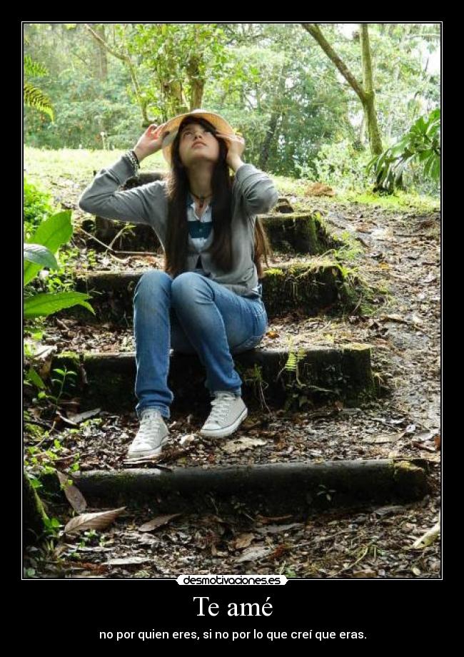 Te amé - no por quien eres, si no por lo que creí que eras.