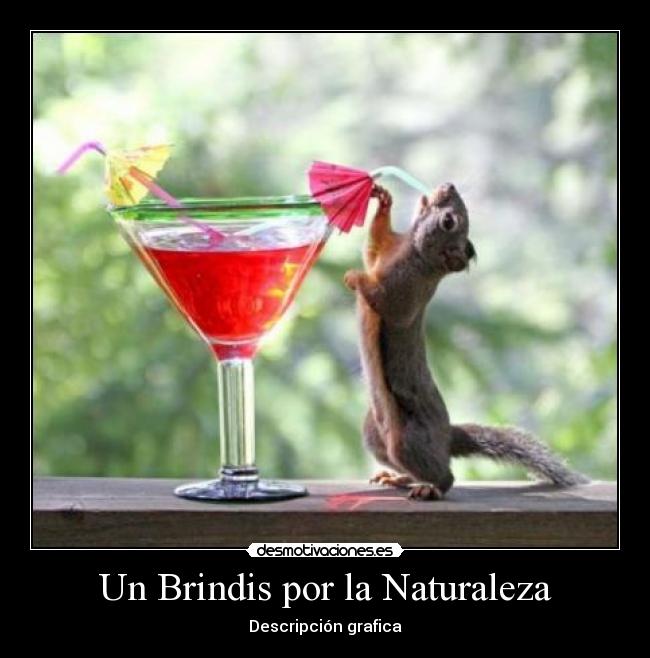 Un Brindis por la Naturaleza - Descripción grafica