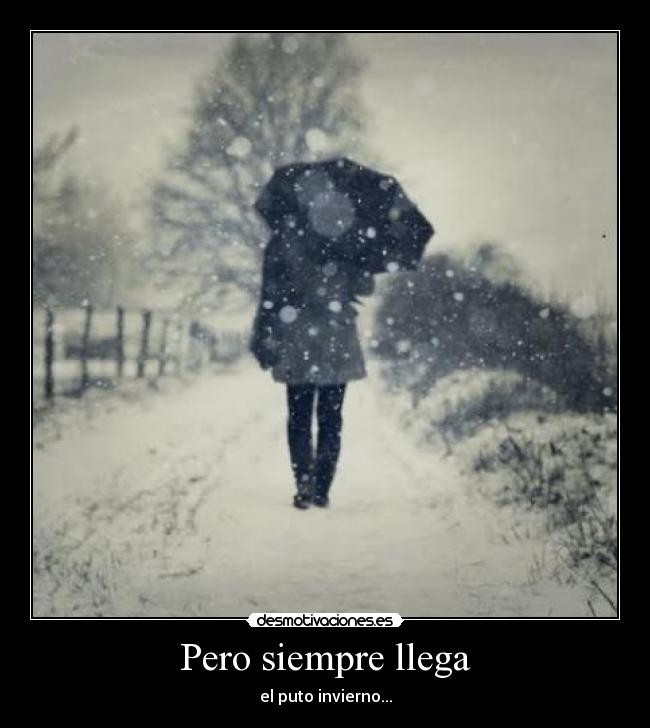 carteles laincoubert3 desmotivaciones