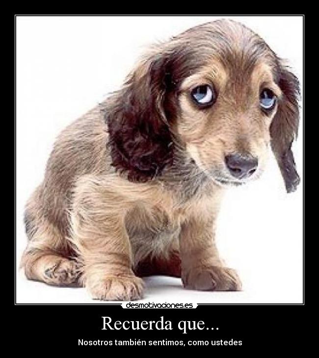 Recuerda que... - 