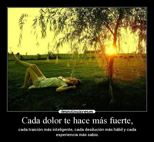 Cada dolor te hace más fuerte, - cada traición más inteligente, cada desilución más hábil y cada
experiencia más sabio.