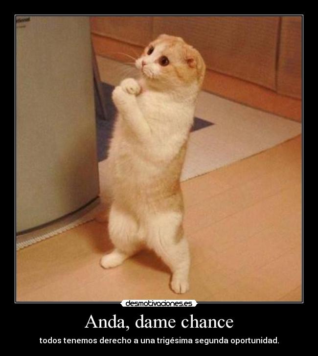 Anda, dame chance - todos tenemos derecho a una trigésima segunda oportunidad.