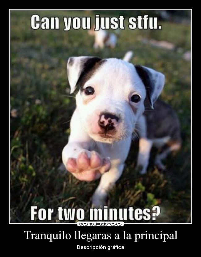 Tranquilo llegaras a la principal -