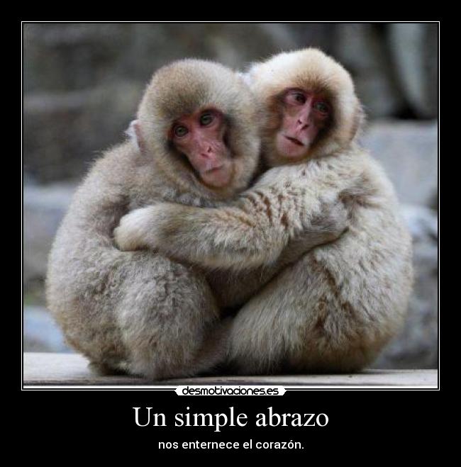 Un simple abrazo - nos enternece el corazón.