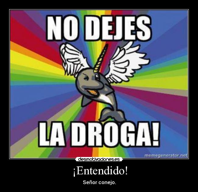 ¡Entendido! - Señor conejo.