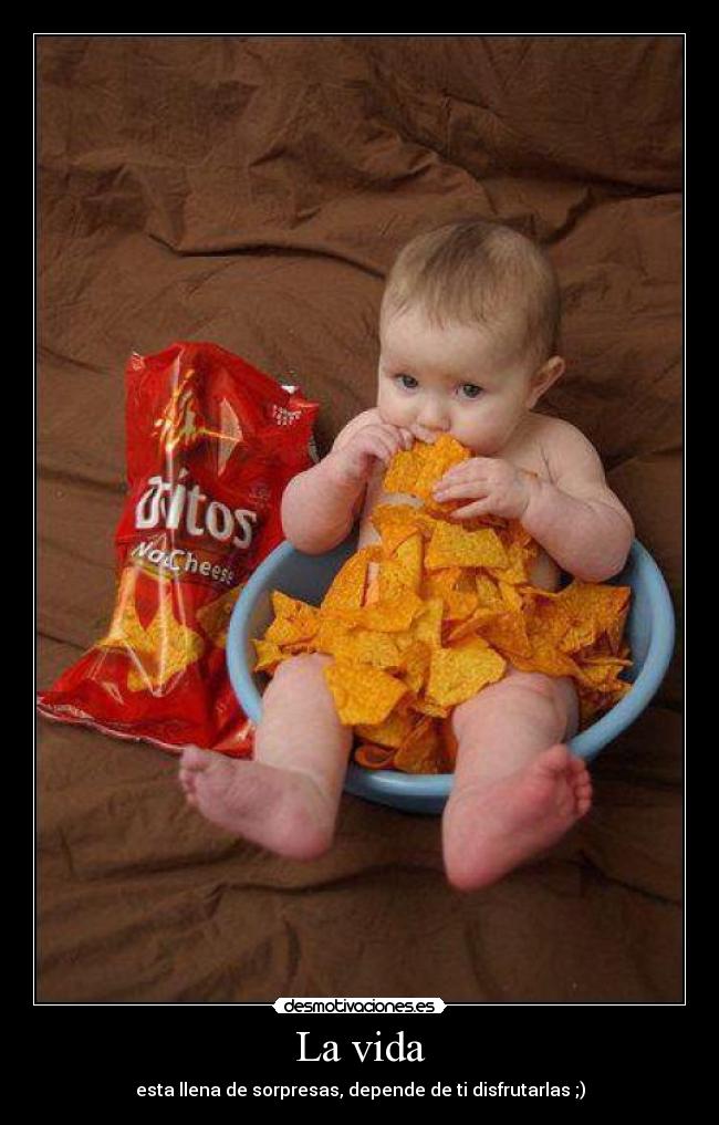 carteles vida tany fairy desmotivaciones