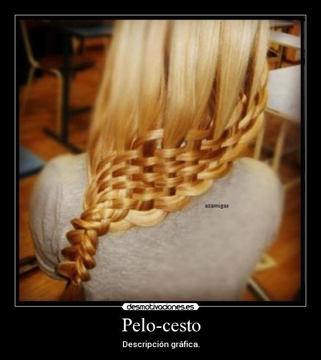 Pelo-cesto - Descripción gráfica.