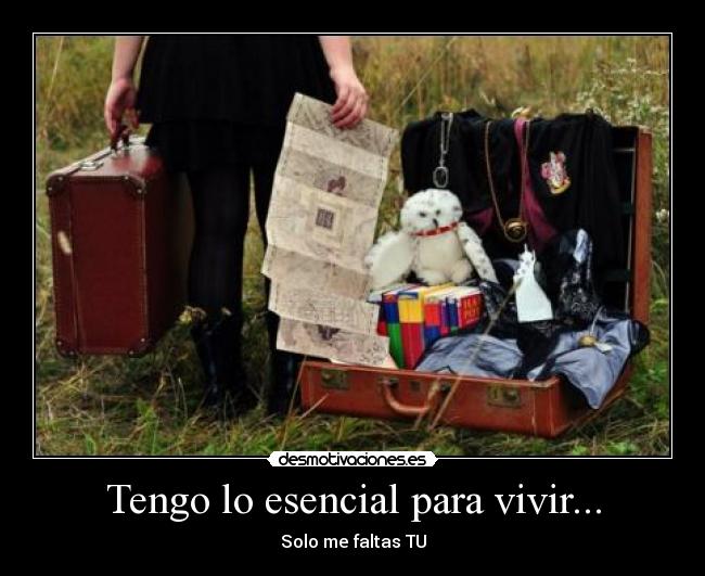 Tengo lo esencial para vivir... - 