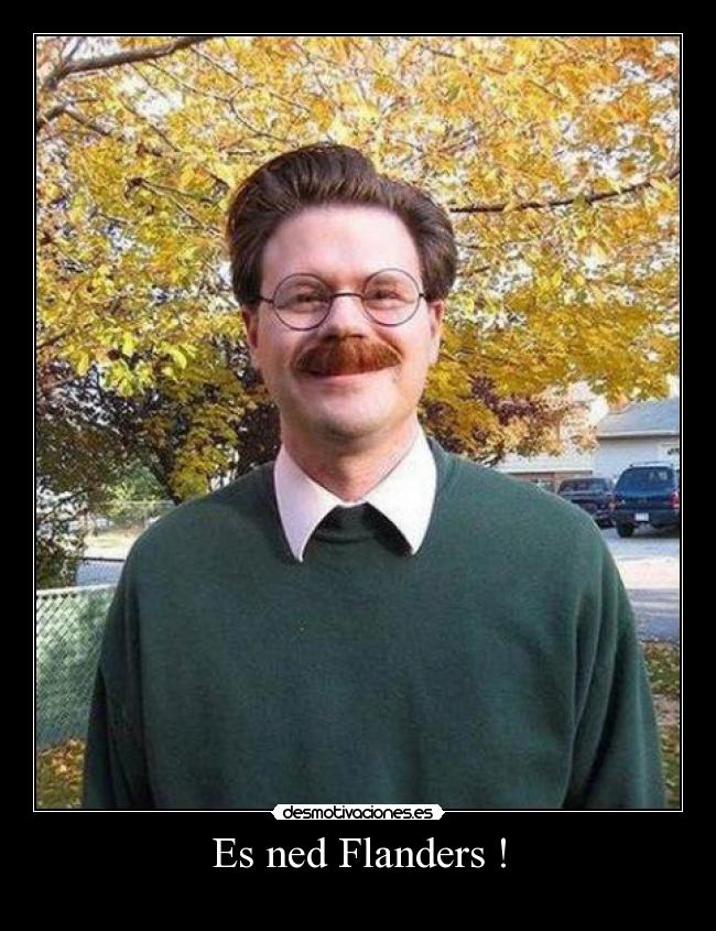 Es ned Flanders ! -