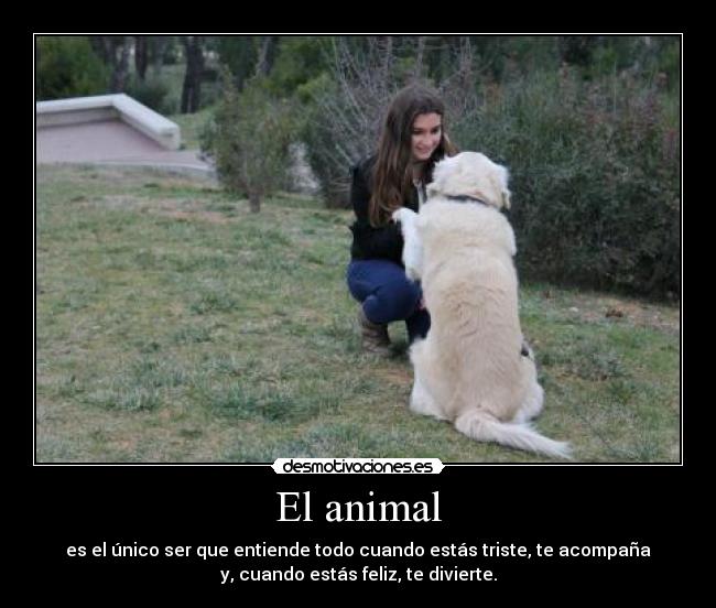 carteles paatherdur desmotivaciones