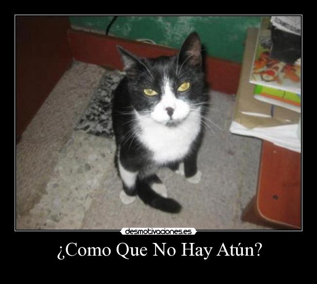 ¿Como Que No Hay Atún? -