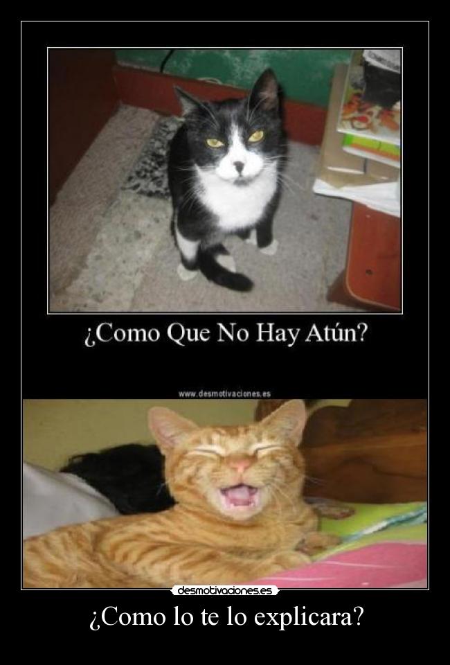 ¿Como lo te lo explicara? -