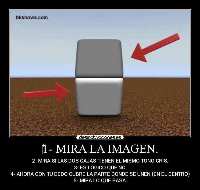 1- MIRA LA IMAGEN. - 2- MIRA SI LAS DOS CAJAS TIENEN EL MISMO TONO GRIS.
3- ES LÓGICO QUE NO.
4- AHORA CON TU DEDO CUBRE LA PARTE DONDE SE UNEN (EN EL CENTRO)
5- MIRA LO QUE PASA.