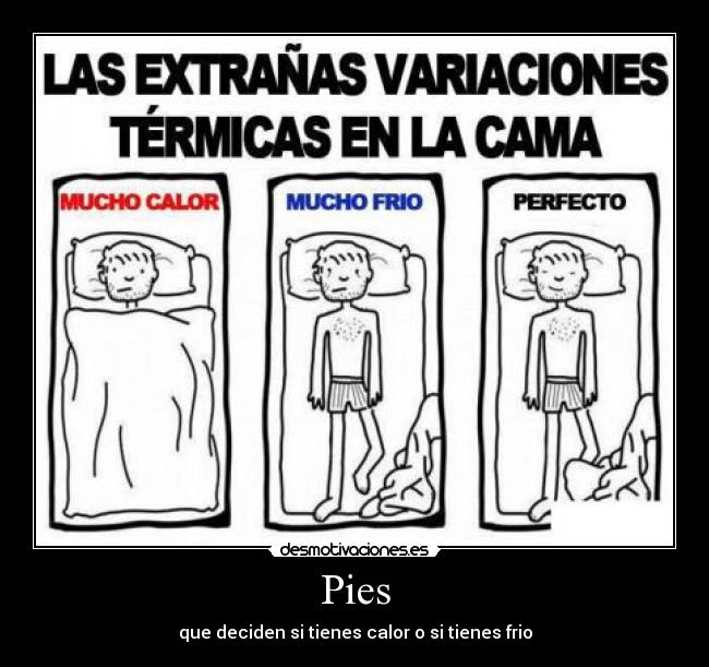 carteles lee libro desmotivaciones