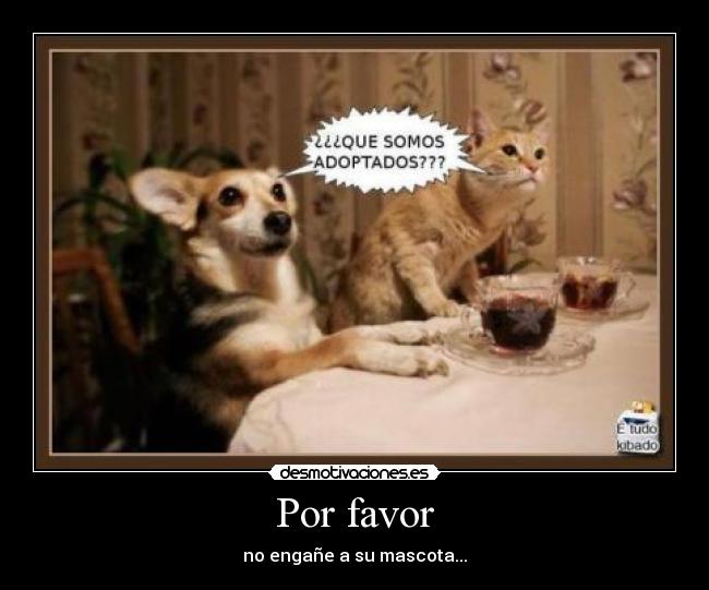 carteles que somos adoptados desmotivaciones