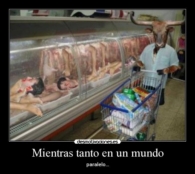 Mientras tanto en un mundo - paralelo...