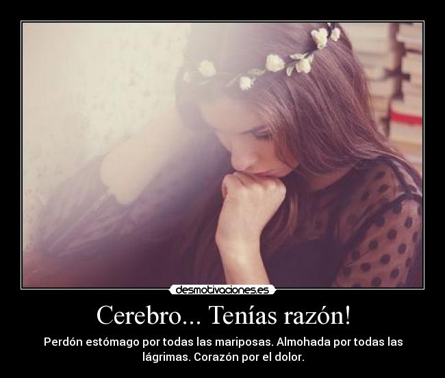 Cerebro... Tenías razón! - Perdón estómago por todas las mariposas. Almohada por todas las
lágrimas. Corazón por el dolor.