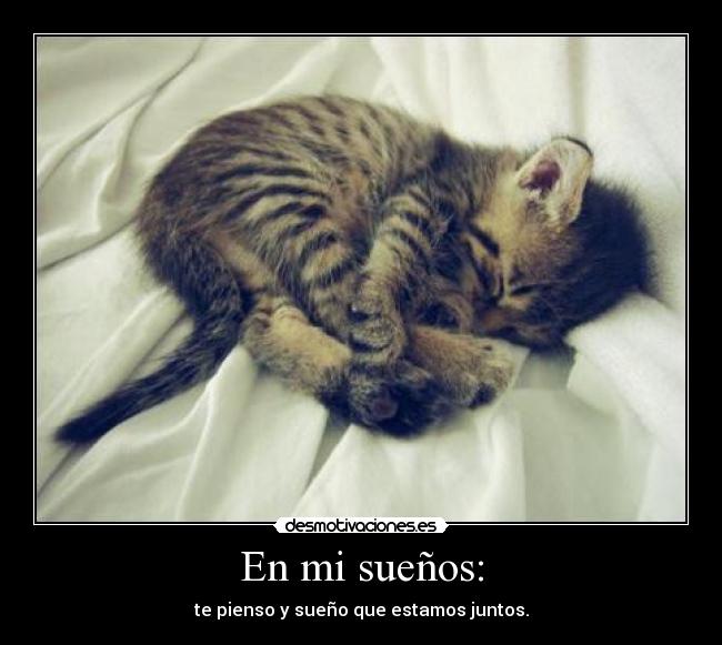 En mi sueños: -