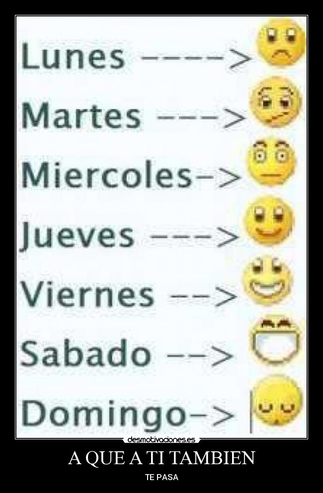 carteles sofibolsilluda desmotivaciones