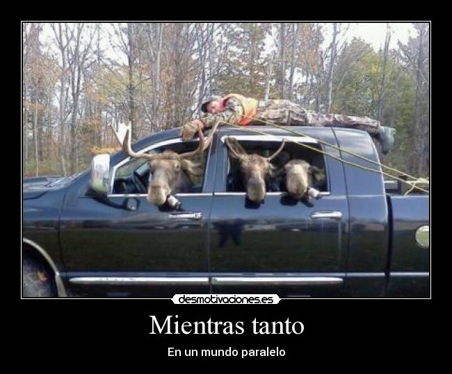 Mientras tanto - En un mundo paralelo