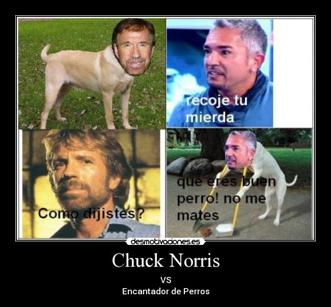 Chuck Norris -