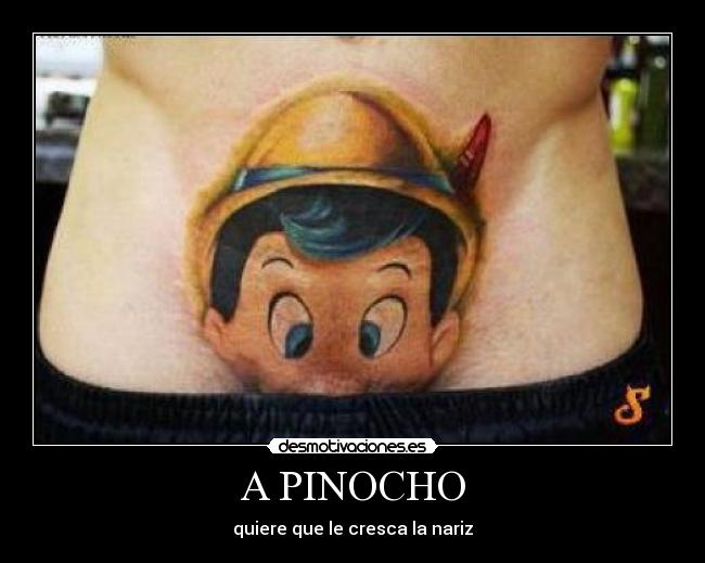 A PINOCHO -