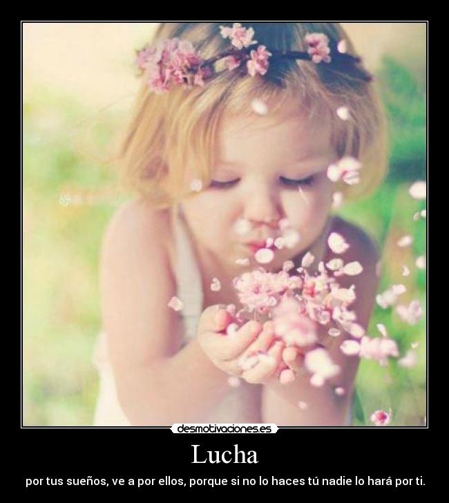 Lucha -