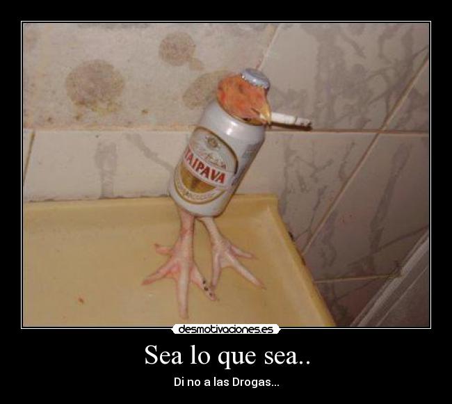 Sea lo que sea.. - Di no a las Drogas...