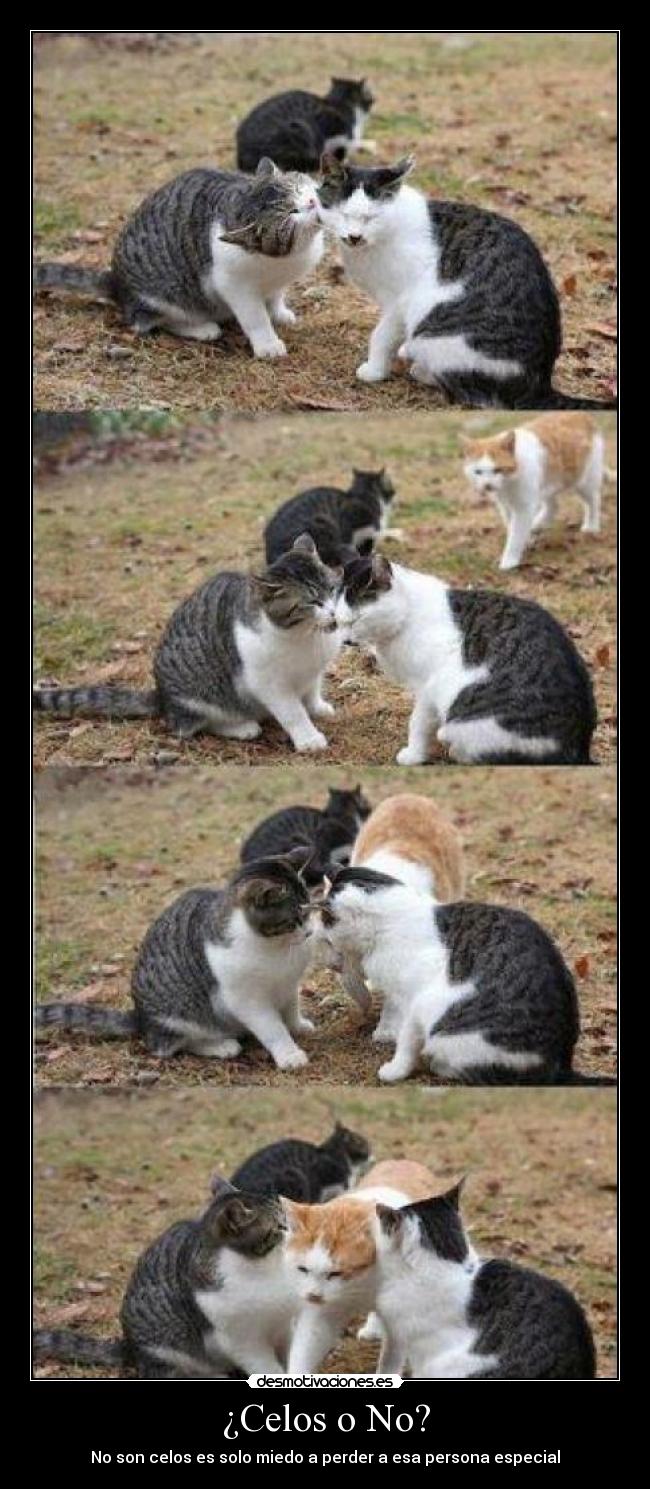 ¿Celos o No? - No son celos es solo miedo a perder a esa persona especial