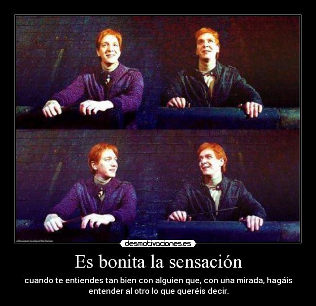carteles pottermania je son unos gamberros ewe nomiresaqui desmotivaciones