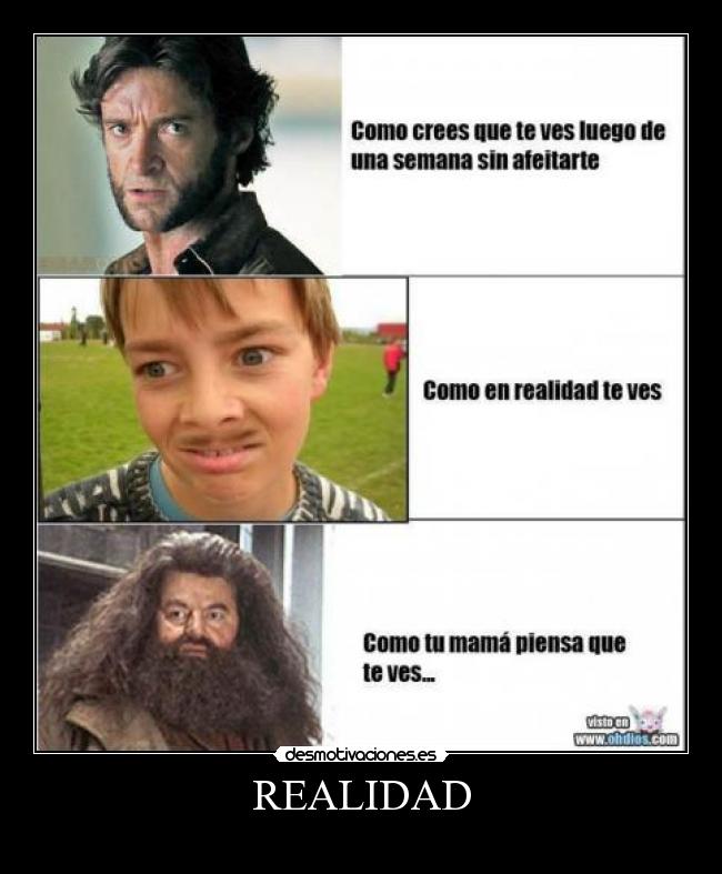 REALIDAD -