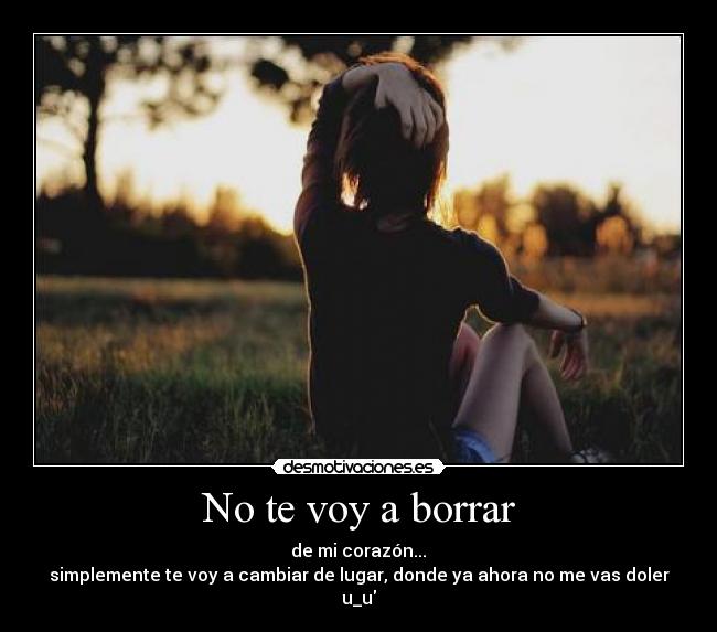 No te voy a borrar - 