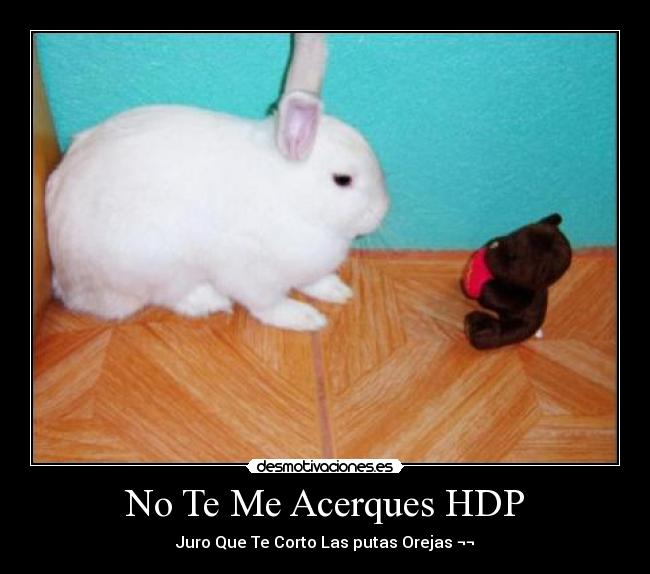 No Te Me Acerques HDP - Juro Que Te Corto Las putas Orejas ¬¬